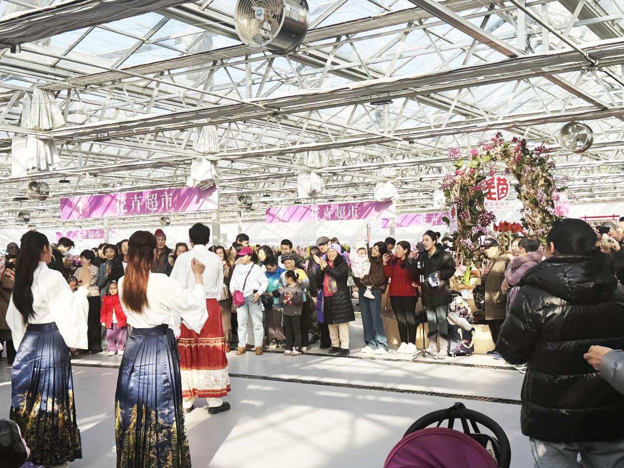 兰香不散，热度不减！北京兰花文化嘉年华元旦后依旧人气爆棚